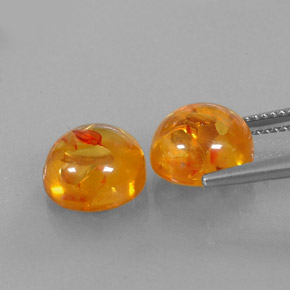 Achetez naturel ct orange ambre gems, transparent, en provenance pologne chez gemselect. en stock, livraison internationale!