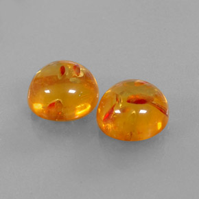 Achetez naturel ct orange ambre gems, transparent, en provenance pologne chez gemselect. en stock, livraison internationale!