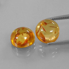 Achetez naturel ct orange ambre gems, transparent, en provenance pologne chez gemselect. en stock, livraison internationale!