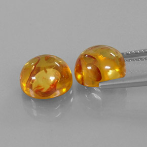 Achetez naturel ct orange ambre gems, transparent, en provenance pologne chez gemselect. en stock, livraison internationale!