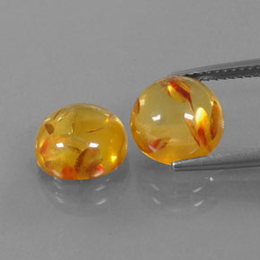 Achetez naturel ct orange ambre gems, transparent, en provenance pologne chez gemselect. en stock, livraison internationale!