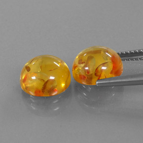 Achetez naturel ct orange ambre gems, transparent, en provenance pologne chez gemselect. en stock, livraison internationale!