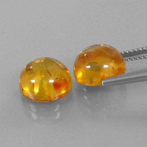 Achetez naturel ct orange ambre gems, transparent, en provenance pologne chez gemselect. en stock, livraison internationale!