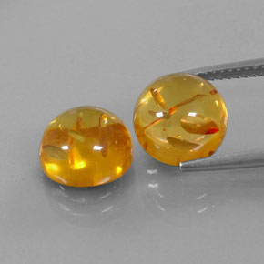 Achetez naturel ct orange ambre gems, transparent, en provenance pologne chez gemselect. en stock, livraison internationale!