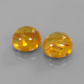 Achetez naturel ct orange ambre gems, transparent, en provenance pologne chez gemselect. en stock, livraison internationale!