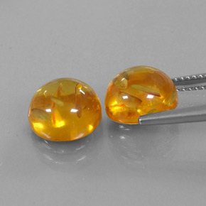 Achetez naturel ct orange ambre gems, transparent, en provenance pologne chez gemselect. en stock, livraison internationale!