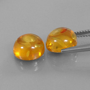 Achetez naturel ct orange ambre gems, transparent, en provenance pologne chez gemselect. en stock, livraison internationale!