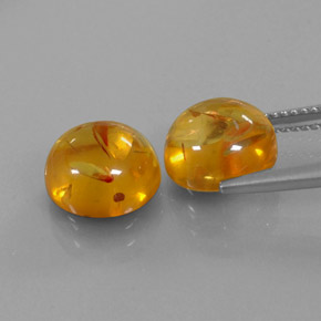 Achetez naturel ct orange ambre gems, transparent, en provenance pologne chez gemselect. en stock, livraison internationale!