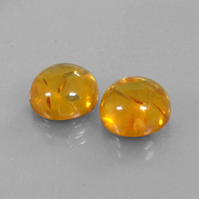 Achetez naturel ct orange ambre gems, transparent, en provenance pologne chez gemselect. en stock, livraison internationale!