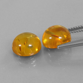 Achetez naturel ct orange ambre gems, transparent, en provenance pologne chez gemselect. en stock, livraison internationale!