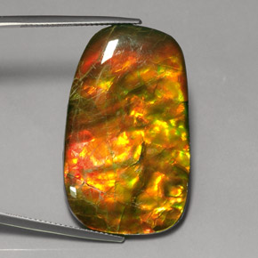 Ammolite Multicolore naturelle Forme fantaisie, 24.17 ct, Opaque