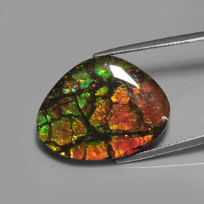 Ammolite multicolore naturelle forme fantaisie, 28,64 ct, opaque