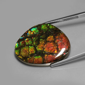 Ammolite multicolore naturelle forme fantaisie, 28,64 ct, opaque