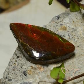Ammolite Multicolore naturelle Fantaisie, 17.03 ct, Opaque