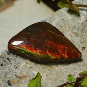 Ammolite Multicolore naturelle Fantaisie, 17.03 ct, Opaque