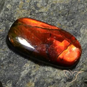 Ammolite multicolore naturelle forme fantaisie, 11,42 ct, opaque