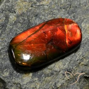 Ammolite multicolore naturelle forme fantaisie, 11,42 ct, opaque