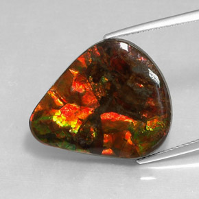 Ammolite multicolore naturelle forme fantaisie, 14,24 ct, opaque