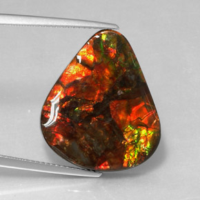 Ammolite multicolore naturelle forme fantaisie, 14,24 ct, opaque