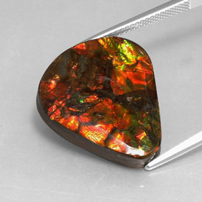 Ammolite multicolore naturelle forme fantaisie, 14,24 ct, opaque
