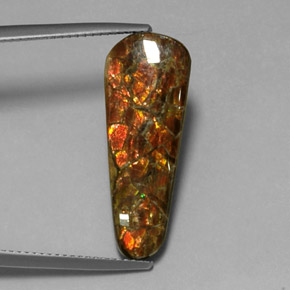 Ammolite Multicolore naturelle Forme fantaisie, 7.59 ct, Opaque