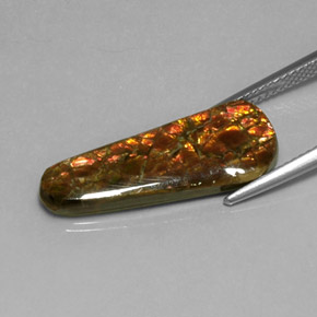 Ammolite Multicolore naturelle Forme fantaisie, 7.59 ct, Opaque