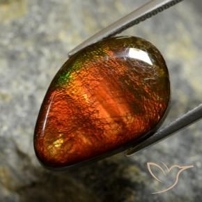Ammolite Multicolore naturelle Fantaisie, 10.57 ct, Opaque
