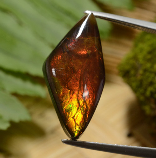 Ammolite multicolore naturelle forme fantaisie, 8,14 ct, opaque