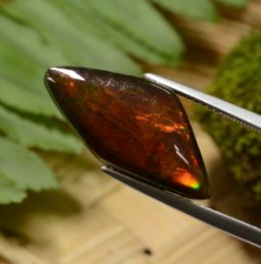 Ammolite multicolore naturelle forme fantaisie, 8,14 ct, opaque