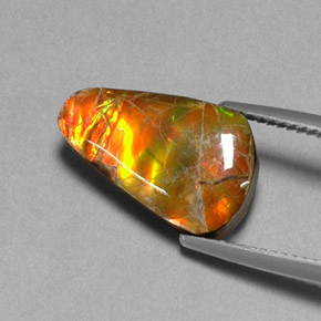 Ammolite Multicolore naturelle Forme fantaisie, 5.20 ct, Opaque