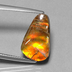 Ammolite Multicolore naturelle Forme fantaisie, 5.20 ct, Opaque