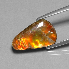 Ammolite Multicolore naturelle Forme fantaisie, 5.20 ct, Opaque