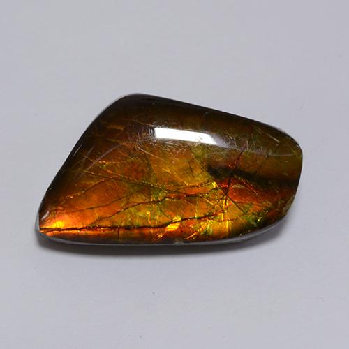 Ammolite multicolore naturelle forme fantaisie, 8,62 ct, opaque