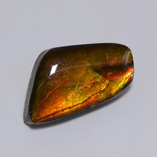 Ammolite multicolore naturelle forme fantaisie, 8,62 ct, opaque