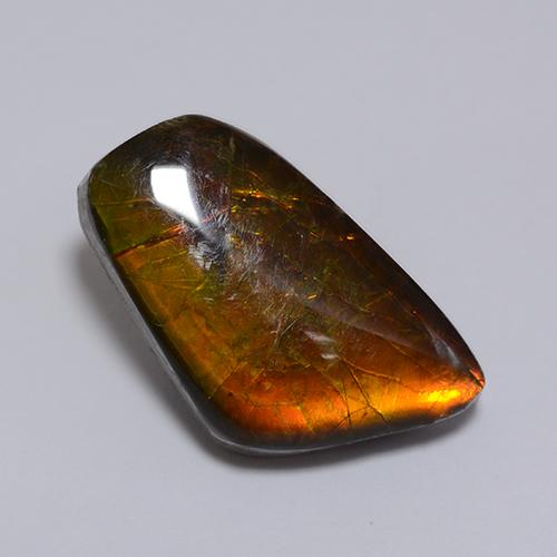 Ammolite multicolore naturelle forme fantaisie, 8,62 ct, opaque