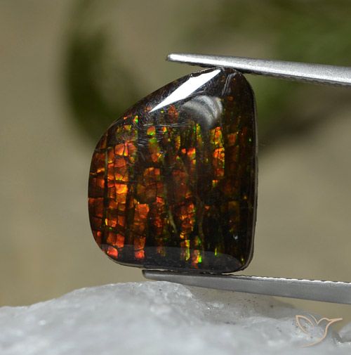 7.67ct Naturel Multicolore Ammolite, Fantaisie, Opaque