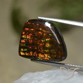 Ammolite Multicolore naturelle Fantaisie, 7.67 ct, Opaque