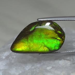 Ammolite multicolore naturelle forme fantaisie, 9,88 ct, opaque