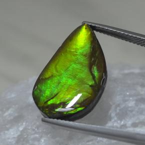 Ammolite multicolore naturelle forme fantaisie, 9,88 ct, opaque