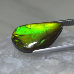 Ammolite multicolore naturelle forme fantaisie, 9,88 ct, opaque