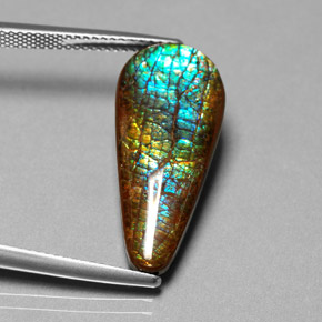 Ammolite Multicolore naturelle En forme de poire, 8.53 ct, Opaque