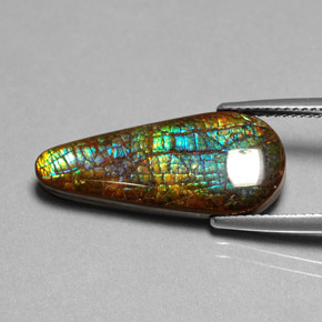 Ammolite Multicolore naturelle En forme de poire, 8.53 ct, Opaque