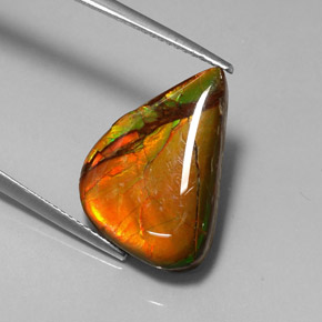 Ammolite multicolore naturelle forme fantaisie, 7,22 ct, opaque