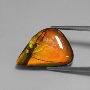 Ammolite multicolore naturelle forme fantaisie, 7,22 ct, opaque