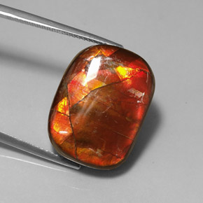 Ammolite multicolore naturelle forme fantaisie, 14,17 ct, opaque