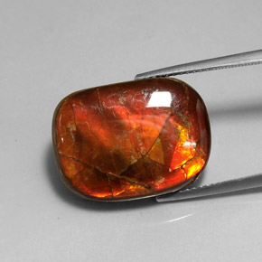 Ammolite multicolore naturelle forme fantaisie, 14,17 ct, opaque