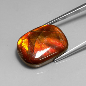 Ammolite multicolore naturelle forme fantaisie, 14,17 ct, opaque