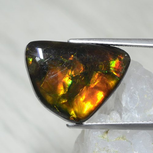 Ammolite multicolore naturelle forme fantaisie, 8,61 ct, opaque