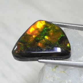 Ammolite multicolore naturelle forme fantaisie, 8,61 ct, opaque