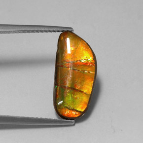 Ammolite multicolore naturelle forme fantaisie, 3,60 ct, opaque